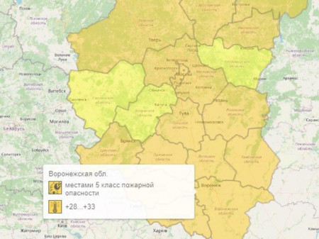 Оранжевый уровень опасности объявили в Воронежской области из-за погоды