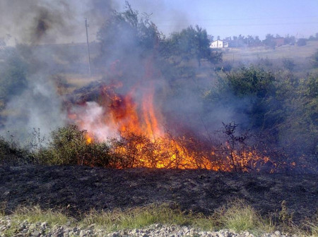 В Воронежской области на 30% снизилось количество пожаров