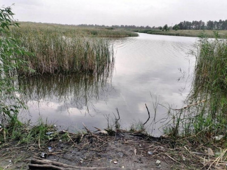Тело 17-летнего парня достали из пруда в Терновском районе