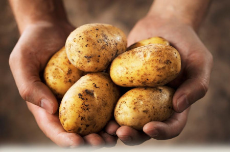 О высокой цене на картофель спросили губернатора Воронежской области