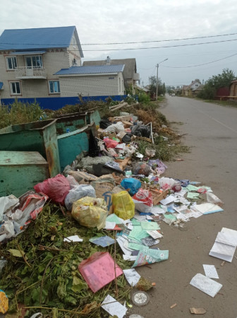 Житель Борисоглебска пожаловался на разваливающиеся мусорные баки