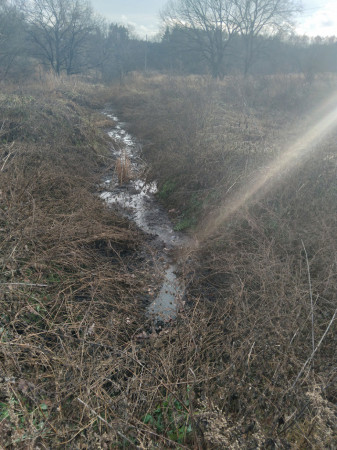 В поселке Водострой хлещут канализационные стоки