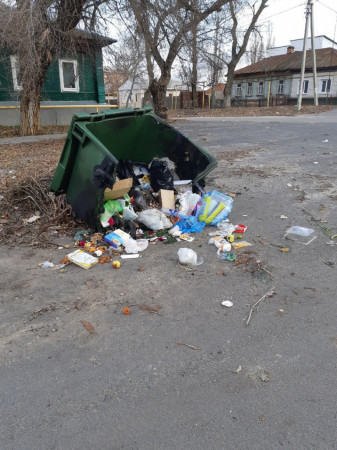 В Новохоперске неизвестные подожгли контейнер с мусором