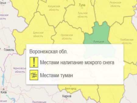 Жёлтый уровень опасности объявлен в Воронежской области из-за мокрого снега и тумана