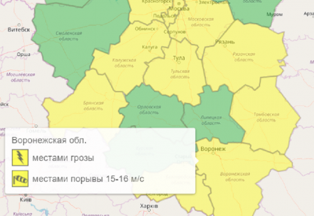 Желтый уровень опасности из-за гроз и сильного ветра ввели в Воронежской области