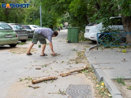 Жителей Воронежской области предупредили о надвигающемся сильном ветре