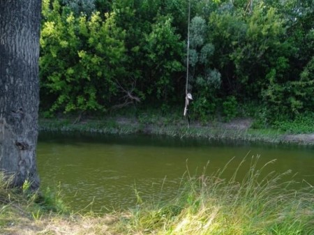 Подросток погиб, прыгнув в реку с тарзанки в селе под Борисоглебском