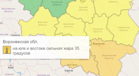 Оранжевый уровень опасности объявили в Воронежской области из-за очень высокой температуры