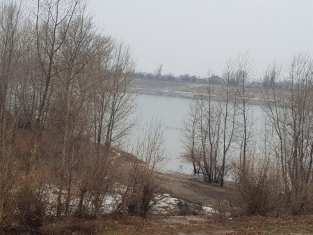 Разлагающийся труп женщины нашли в реке под Воронежем