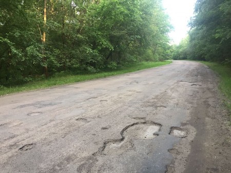 Жители двух сел Борисоглебского округа просят губернатора сделать дорогу