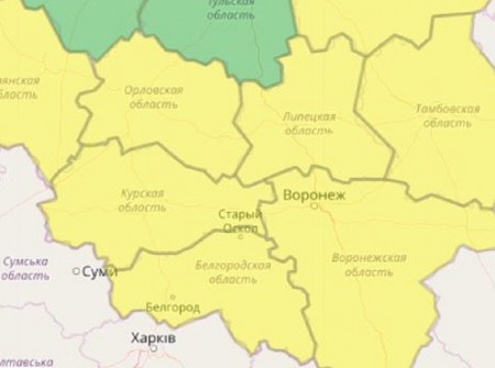 Жёлтый уровень погодной опасности ввели в Воронежской области из-за снега и ветра